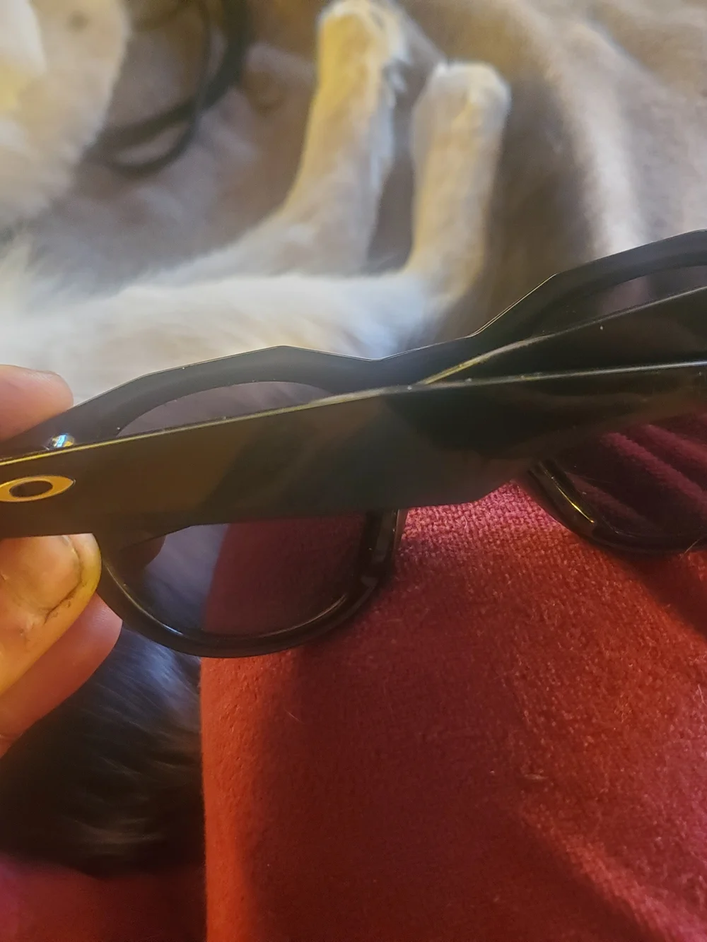Oakley item meta